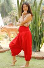 Drop Crotch Harem Pants - Black